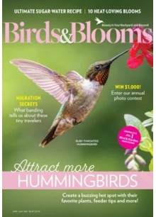 Birds & Blooms Birds & Blooms