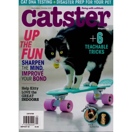 Catster Catster