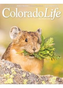 Colorado Life Colorado Life