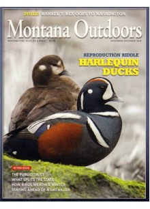 Montana Outdoors Montana Outdoors