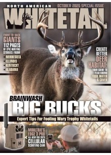 North American Whitetail North American Whitetail