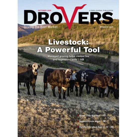 Drovers Cattle Network
