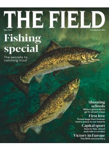 The Field (UK) The Field (UK)