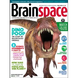 Brainspace Brainspace