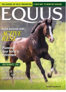 Equus Equus