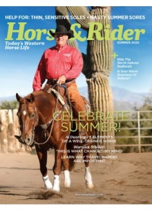 Horse & Rider Horse & Rider