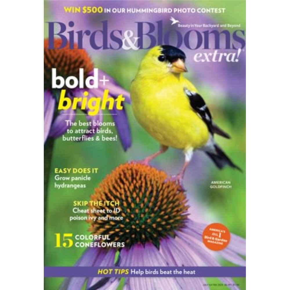 Birds And Bloom Magazine Back Issues Clearance | dgtcom.com.br