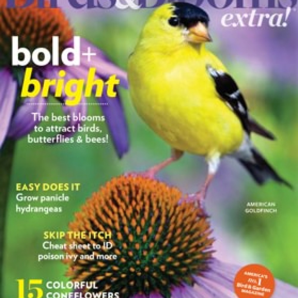 Give a Gift of Birds & Blooms Extra Magazine subscription. Save 28% off!